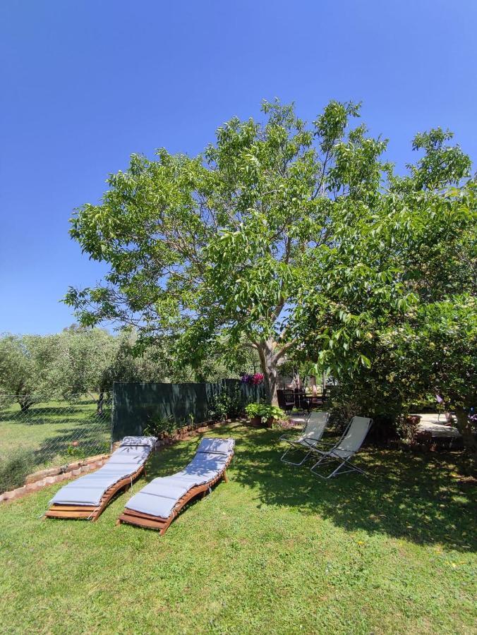 Appartamento Da Vjeri Pula Exteriér fotografie